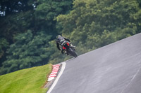 PJ-Motorsport-Photography-2020;anglesey;brands-hatch;cadwell-park;croft;donington-park;enduro-digital-images;event-digital-images;eventdigitalimages;mallory;no-limits;oulton-park;peter-wileman-photography;racing-digital-images;silverstone;snetterton;trackday-digital-images;trackday-photos;vmcc-banbury-run;welsh-2-day-enduro